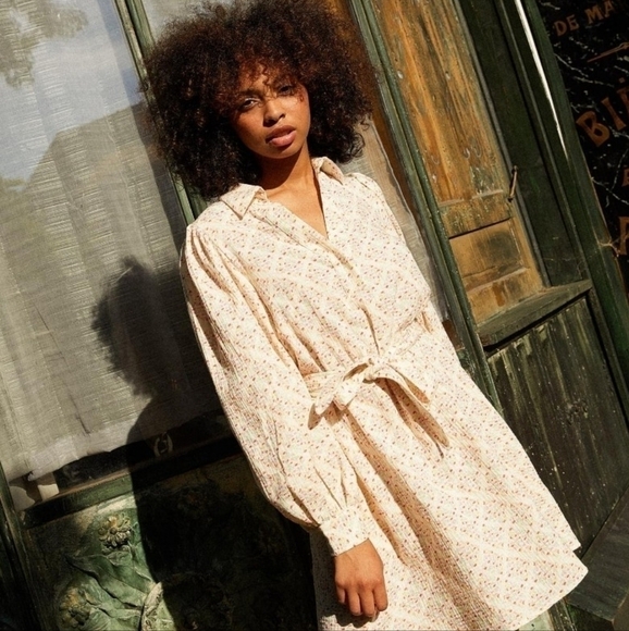 NWT FRNCH Womens Romanne Cotton V-neck Puff sleeve Shirtdress Size S - Picture 3 of 16